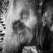 Andrew Chin's photo