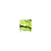 Houzz-ID: 6332593s foto