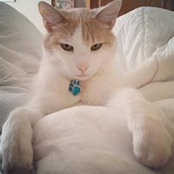 Megan Schiller's photo