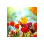 Barbara Stengle's photo