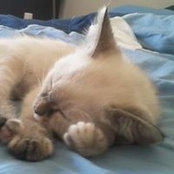 Photo de Lucie Roro