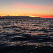 Rossi Ross's photo