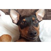 Jeryl Smith's photo