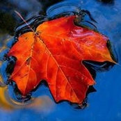 Ken Swanson's photo