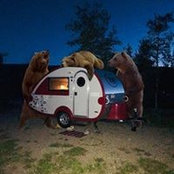 Foto von Lee Swanson