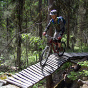 Tim Gallant's photo