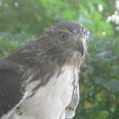 Boni Grabusky's photo