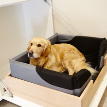 Ideal bed for puppies