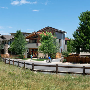 Nestled Neighbor