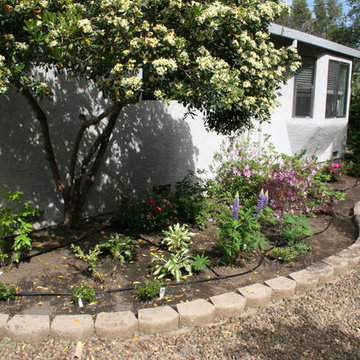 Drip Irrigation Done Right