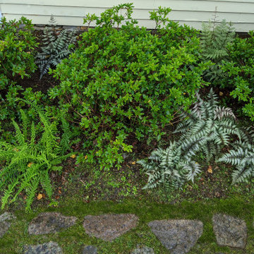 Residential Landscapes