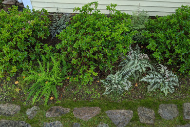 Photo of a coastal landscaping in Other.