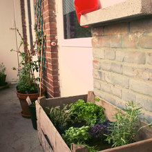 My Lovely Garden