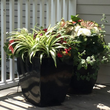 Planters & WIndow Boxes