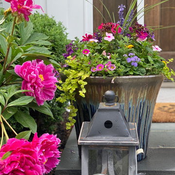 Summer Containers