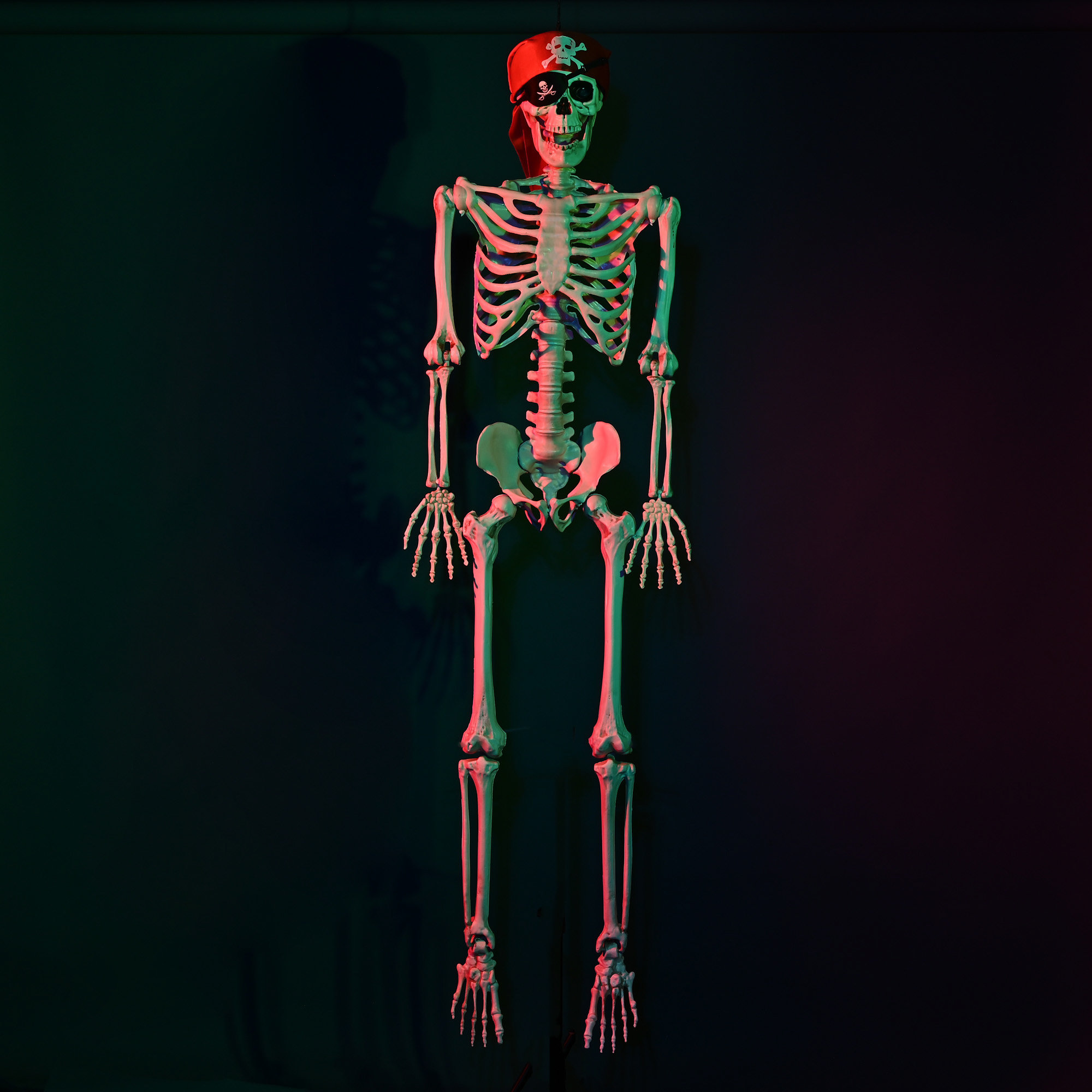 Yescom 2PCS Life Size Skeleton Poseable 5.4 Ft for Halloween Party ...