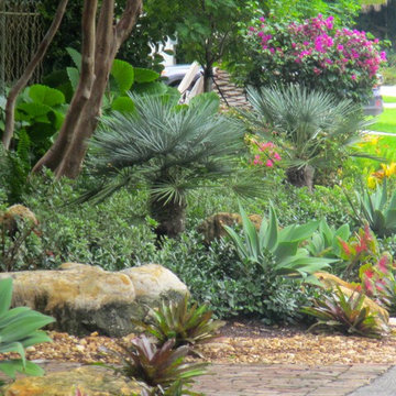 Tropical Planting Design