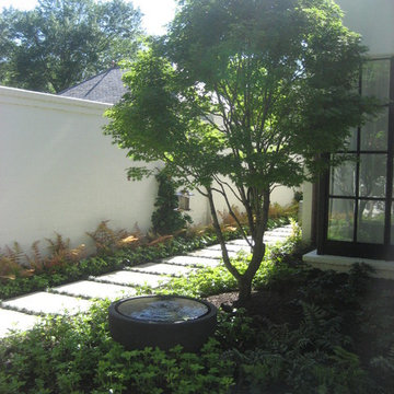 Crisp Contemporary