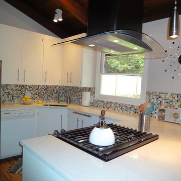 Mid Century Modern in Sammamish, WA