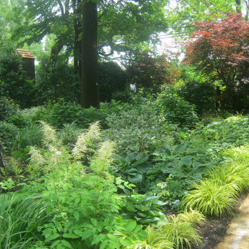 u2014 ALE: Fishers Woodland Garden