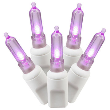 Vickerman 100-Light LED Lights, Purple