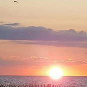 Lucia Delopoulos's photo