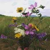Chiara Salvatori's photo
