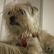 Patty Gorham's photo