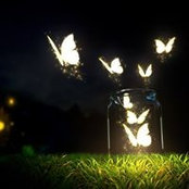 Pam Armstrong's photo