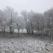 Jill Mccallion-Selbach's photo