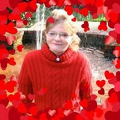 Sandi McCanns foto