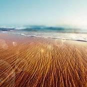 Ouegnin Yannick's photo