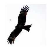 Zilah Abdullah's photo