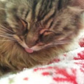 Lisa Robbins's photo