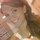 Cherity Prince-Phillips