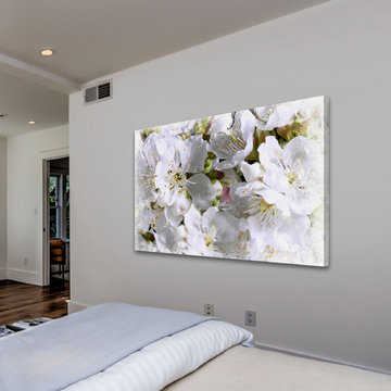 Apricot Blossoms
