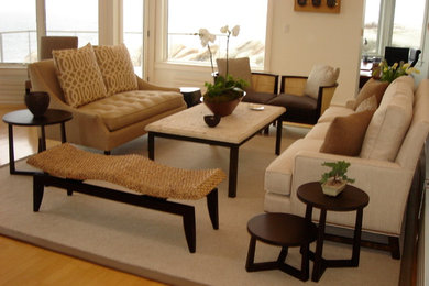 Transitional living room photo in Boston