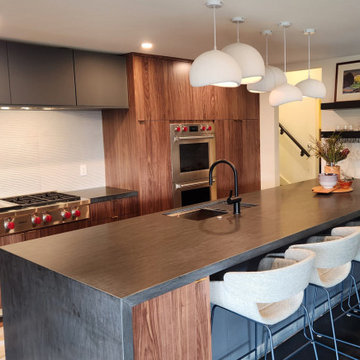 Mid-Century Modern Kitchen Renovation