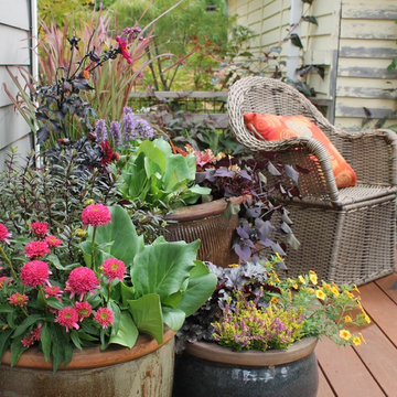 Olander . Garden . Design - Containers