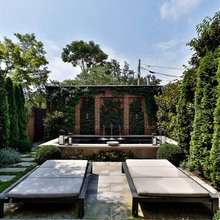 Backyard Ideas