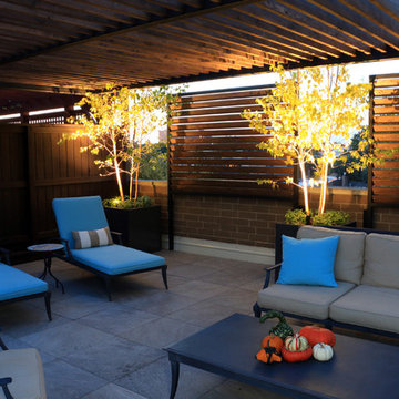 Contemporary Lakeview Roof Deck
