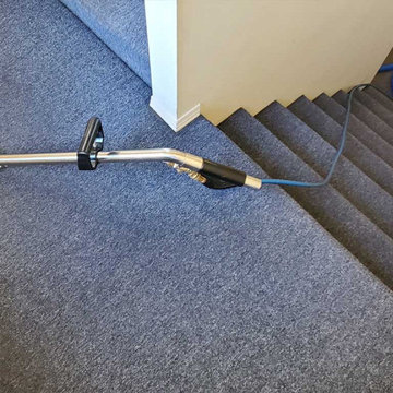 Strata Stairs Feces and Urine Treatment Carpet Cleaning Stairs in Coquitlam BC C