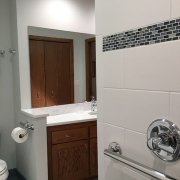 Grab Bars at Shower and Toilet