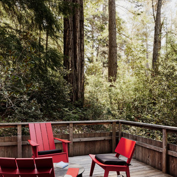 Sea Ranch Renovation