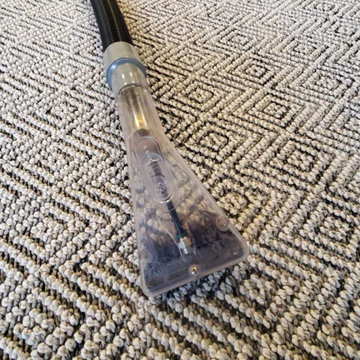 Pet Urine and Feces Removal From Two Area Rugs Located in Port Moody BC Canada