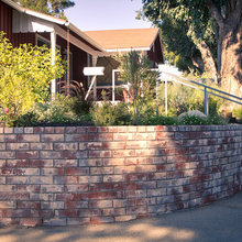 Retaining wall / Garden Boxes