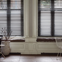 Dark shutters on windows