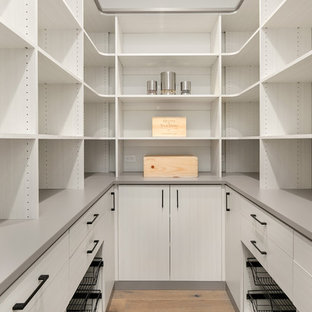 Large contemporary kitchen pantry designs - Inspiration for a large contemporary medium tone wood floor and gray floor kitchen pantry remodel in Seattle with flat-panel cabinets, gray cabinets and gray countertops