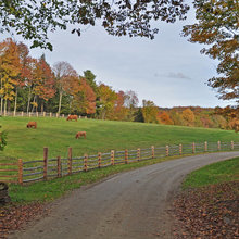 Barnard Farm