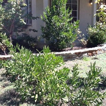 Edible Landscape